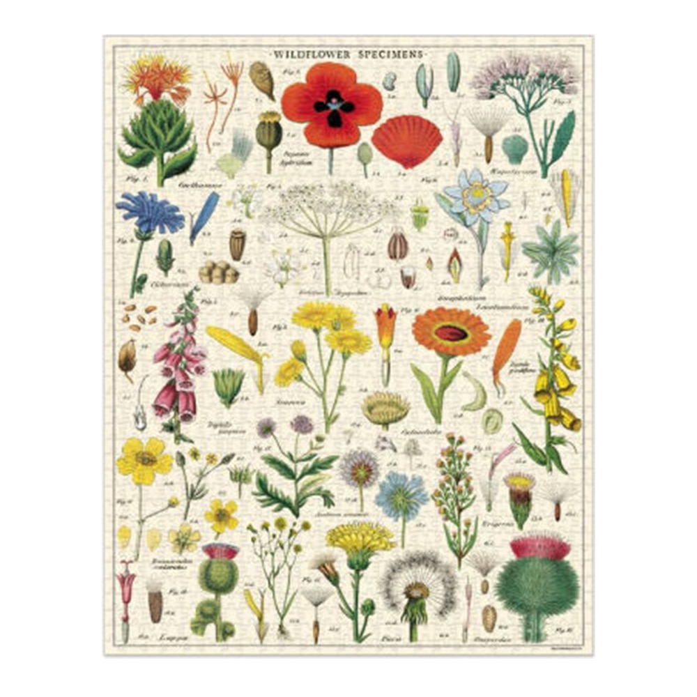 Cavallini, Puzzle, Gifts, 1000 piece, Wildflowers, 439507